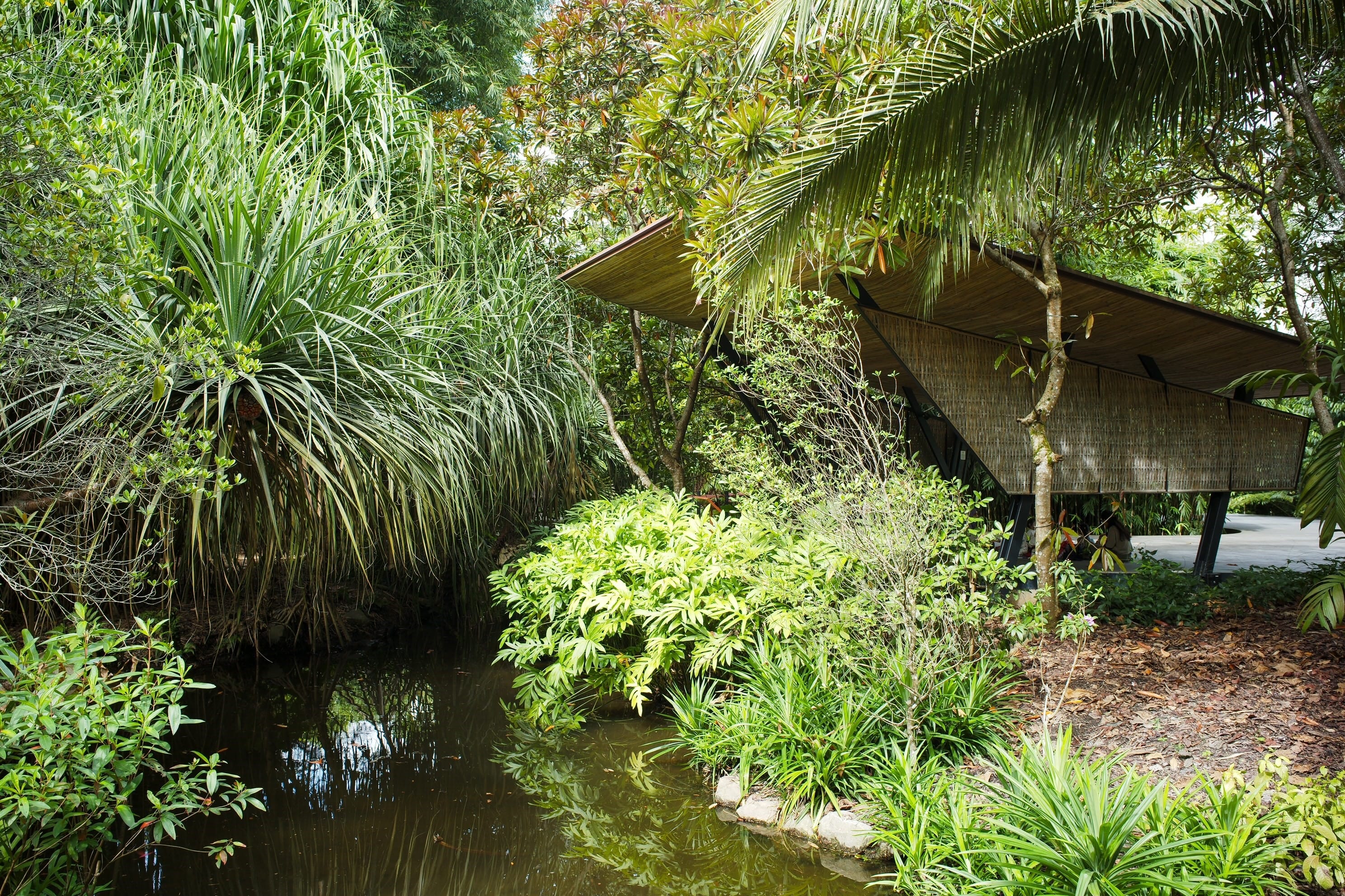 Ethnobotany Garden